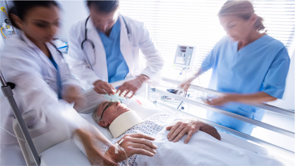 Commerce & Management